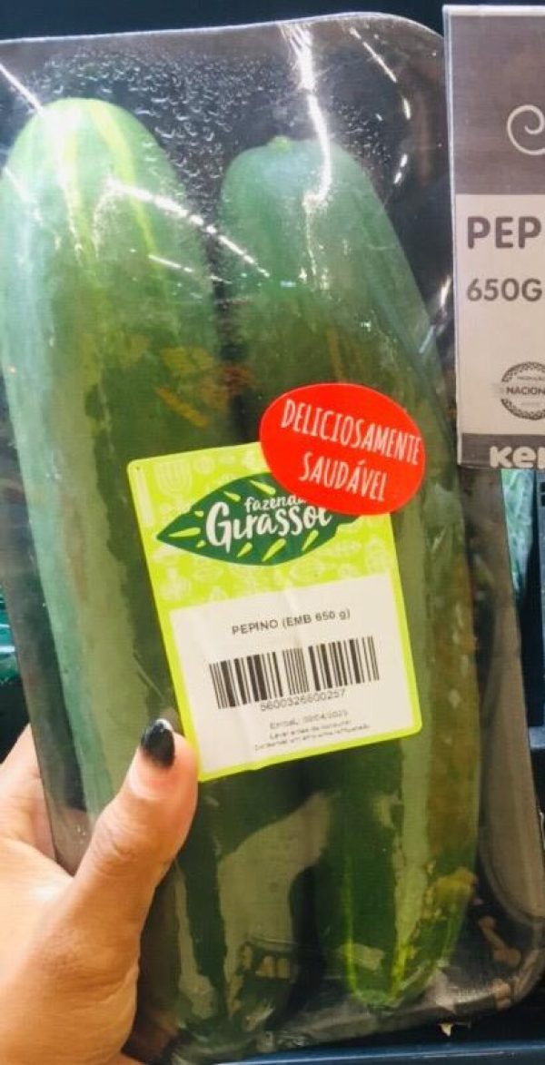 PEPINO GIRASSOL 650GR
