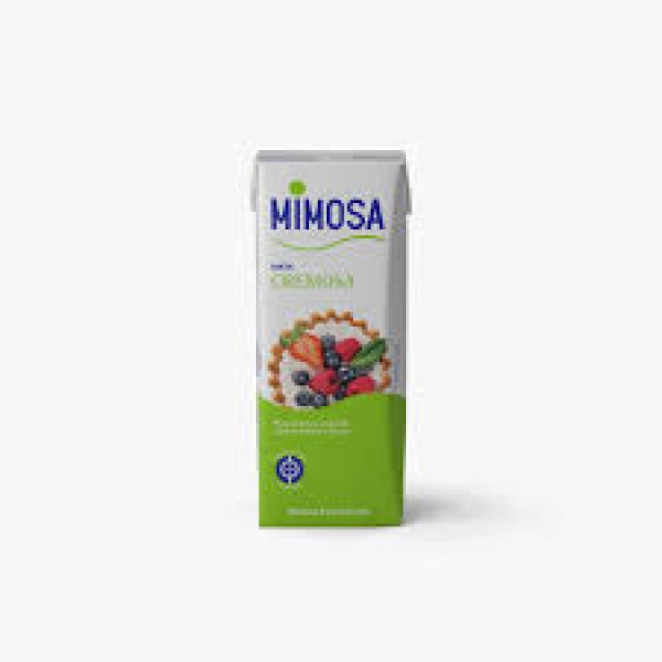 NATAS MIMOSA BATER UHT 200ML